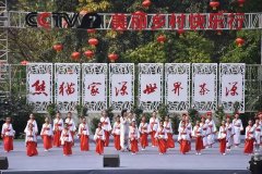高端绿材料范畴自从研发品牌